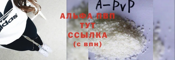 гидра Белокуриха