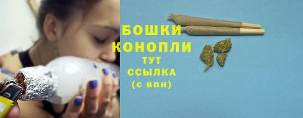 гидра Белокуриха