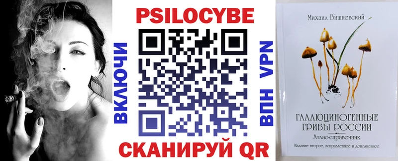 mega ССЫЛКА  Городовиковск  Псилоцибиновые грибы Psilocybe 